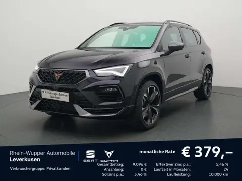 Annonce CUPRA ATECA Essence 2024 d'occasion 