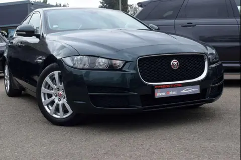 Used JAGUAR XE Diesel 2016 Ad 