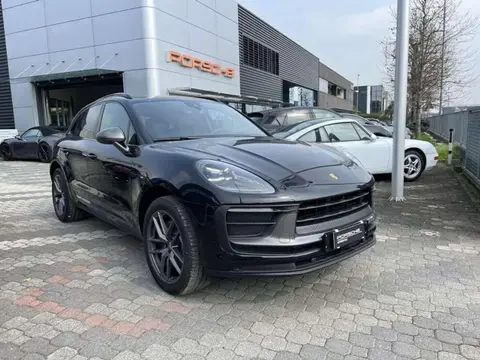 Used PORSCHE MACAN Petrol 2024 Ad 