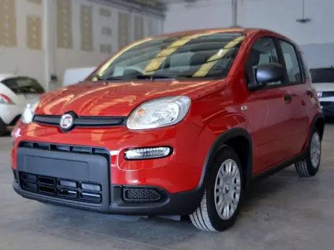 Used FIAT PANDA Hybrid 2024 Ad 