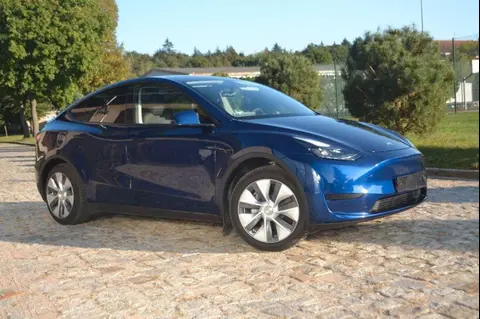 Used TESLA MODEL Y Electric 2023 Ad 