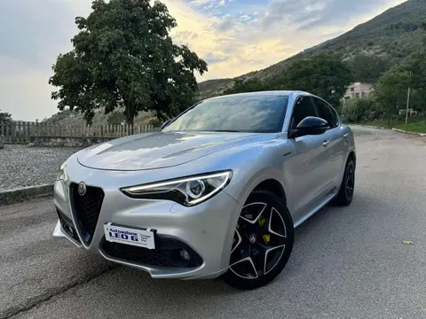 Used ALFA ROMEO STELVIO Diesel 2020 Ad 