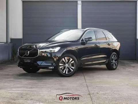 Annonce VOLVO XC60 Diesel 2021 d'occasion Belgique