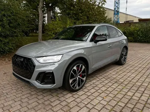 Used AUDI SQ5 Hybrid 2023 Ad 