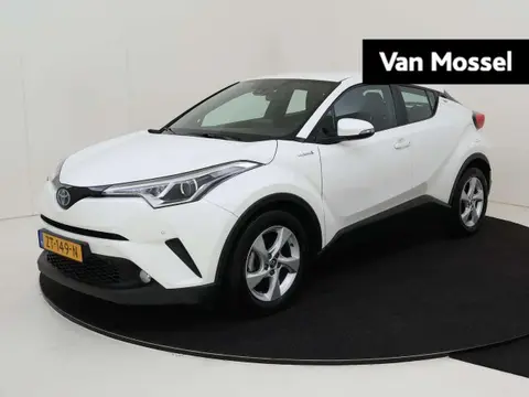 Used TOYOTA C-HR Hybrid 2019 Ad 