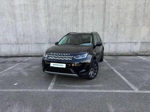 Used LAND ROVER DISCOVERY Hybrid 2020 Ad 