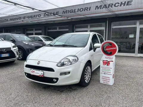 Annonce FIAT PUNTO Diesel 2017 d'occasion 