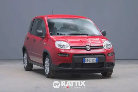 Used FIAT PANDA Hybrid 2024 Ad Italy