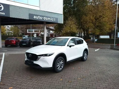 Used MAZDA CX-5 Diesel 2024 Ad 