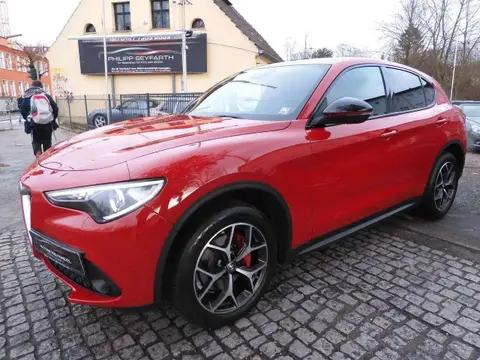 Used ALFA ROMEO STELVIO Diesel 2019 Ad 