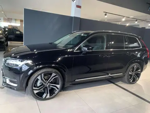 Annonce VOLVO XC90 Diesel 2024 d'occasion 