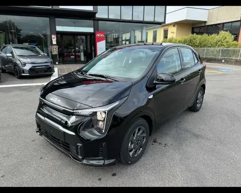 Used KIA PICANTO Petrol 2024 Ad 