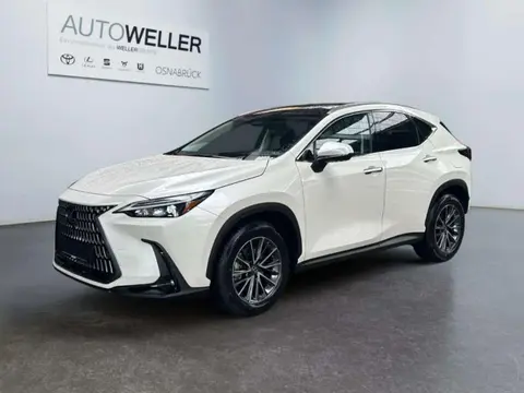 Annonce LEXUS NX Hybride 2024 d'occasion 