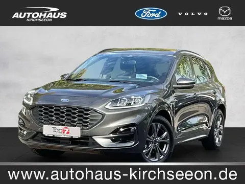 Annonce FORD KUGA Essence 2023 d'occasion 