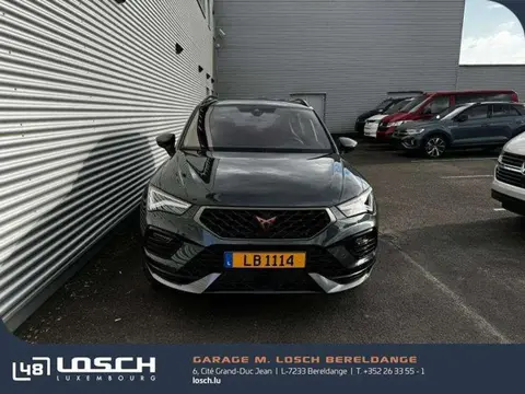 Used CUPRA ATECA Petrol 2024 Ad 