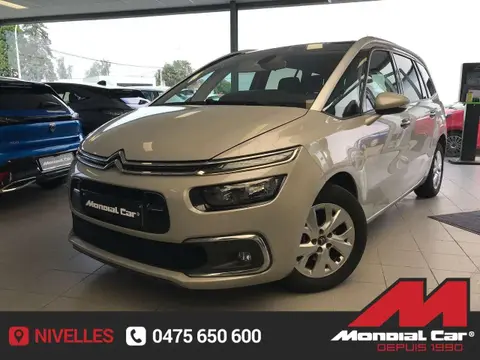 Annonce CITROEN C4 Diesel 2017 d'occasion 