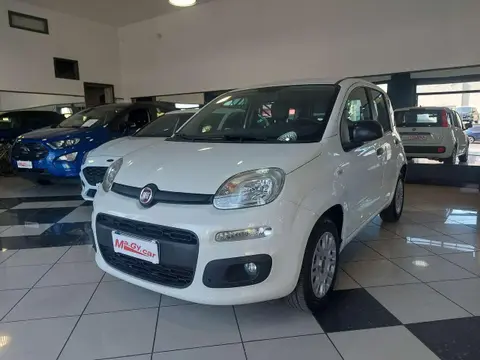 Used FIAT PANDA Petrol 2019 Ad 