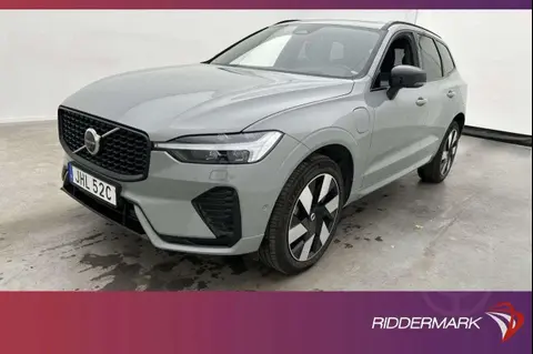 Used VOLVO XC60 Hybrid 2023 Ad 