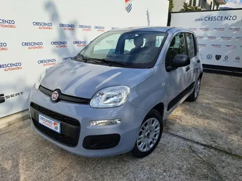 Annonce FIAT PANDA GPL 2019 d'occasion 