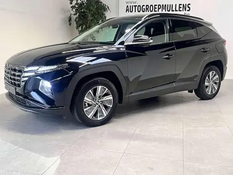 Used HYUNDAI TUCSON Hybrid 2023 Ad 