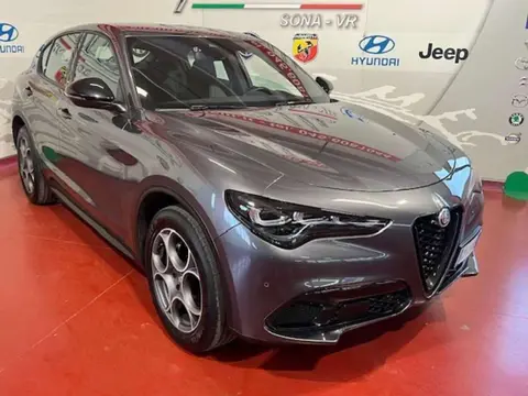 Annonce ALFA ROMEO STELVIO Diesel 2023 d'occasion 