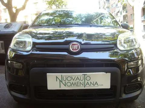 Used FIAT PANDA Hybrid 2024 Ad 