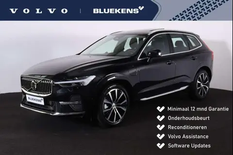 Used VOLVO XC60 Hybrid 2023 Ad 