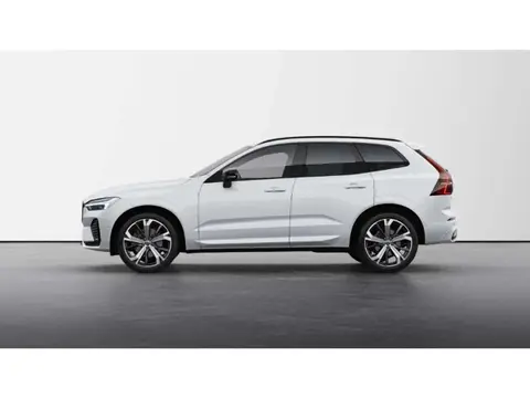 Annonce VOLVO XC60 Essence 2024 d'occasion 