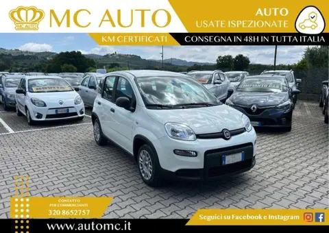 Used FIAT PANDA Petrol 2024 Ad 