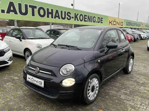 Used FIAT 500 Petrol 2024 Ad 