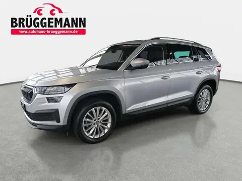 Used SKODA KODIAQ Diesel 2022 Ad 