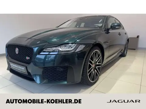 Used JAGUAR XF Petrol 2017 Ad 