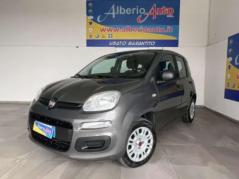 Used FIAT PANDA Petrol 2020 Ad 