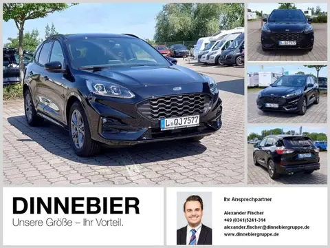 Used FORD KUGA Hybrid 2023 Ad 