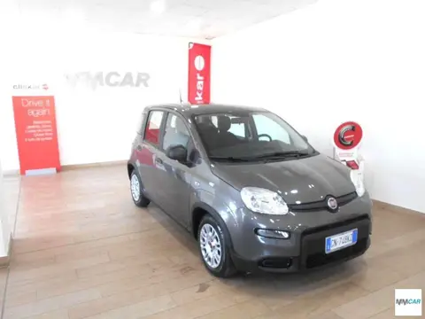 Annonce FIAT PANDA  2023 d'occasion 