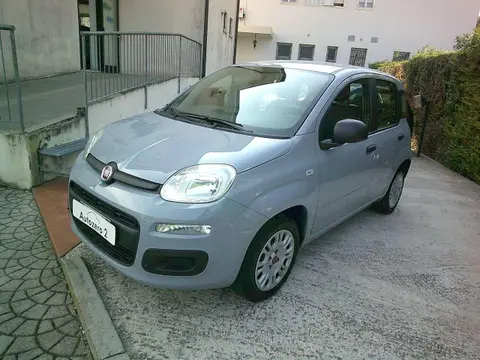 Used FIAT PANDA Petrol 2020 Ad 