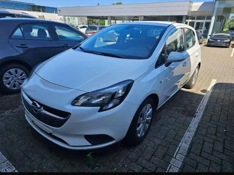 Annonce OPEL CORSA Diesel 2016 d'occasion 