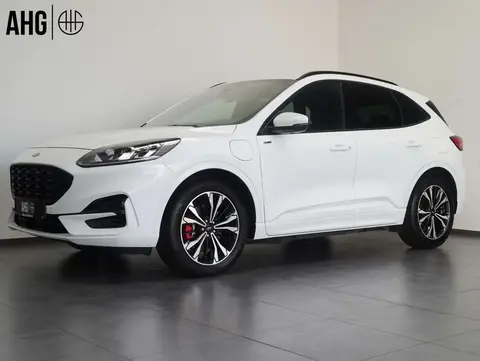 Used FORD KUGA Hybrid 2020 Ad 