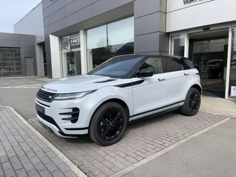 Used LAND ROVER RANGE ROVER EVOQUE Hybrid 2024 Ad 