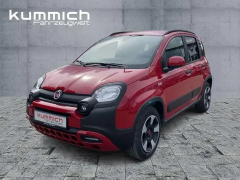 Used FIAT PANDA Hybrid 2024 Ad 