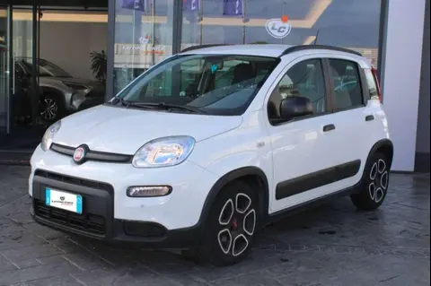 Annonce FIAT PANDA Hybride 2021 d'occasion 