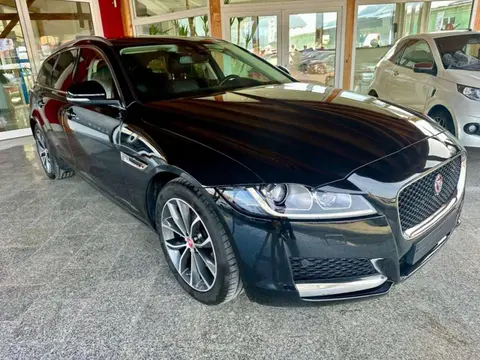 Used JAGUAR XF Diesel 2019 Ad 