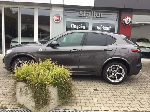 Used ALFA ROMEO STELVIO Petrol 2019 Ad 