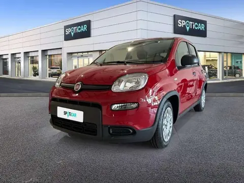 Annonce FIAT PANDA Essence 2024 d'occasion 