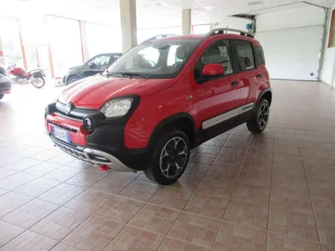 Annonce FIAT PANDA Essence 2021 d'occasion 