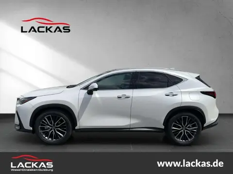 Annonce LEXUS NX Hybride 2024 d'occasion 