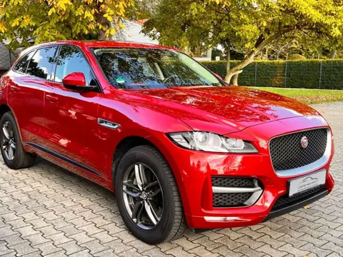 Used JAGUAR F-PACE Petrol 2017 Ad 