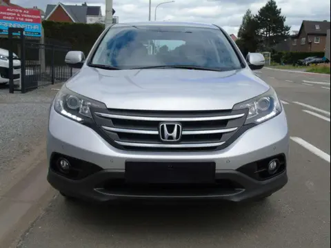 Used HONDA CR-V Diesel 2015 Ad 