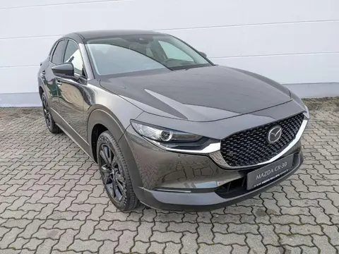 Annonce MAZDA CX-30 Essence 2024 d'occasion 