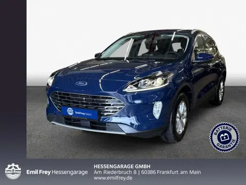 Annonce FORD KUGA Hybride 2022 d'occasion 